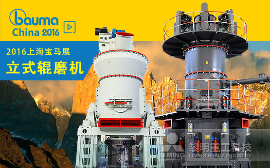 <b>LM/LUM立式辊磨机家族 专属市场更有所为</b>